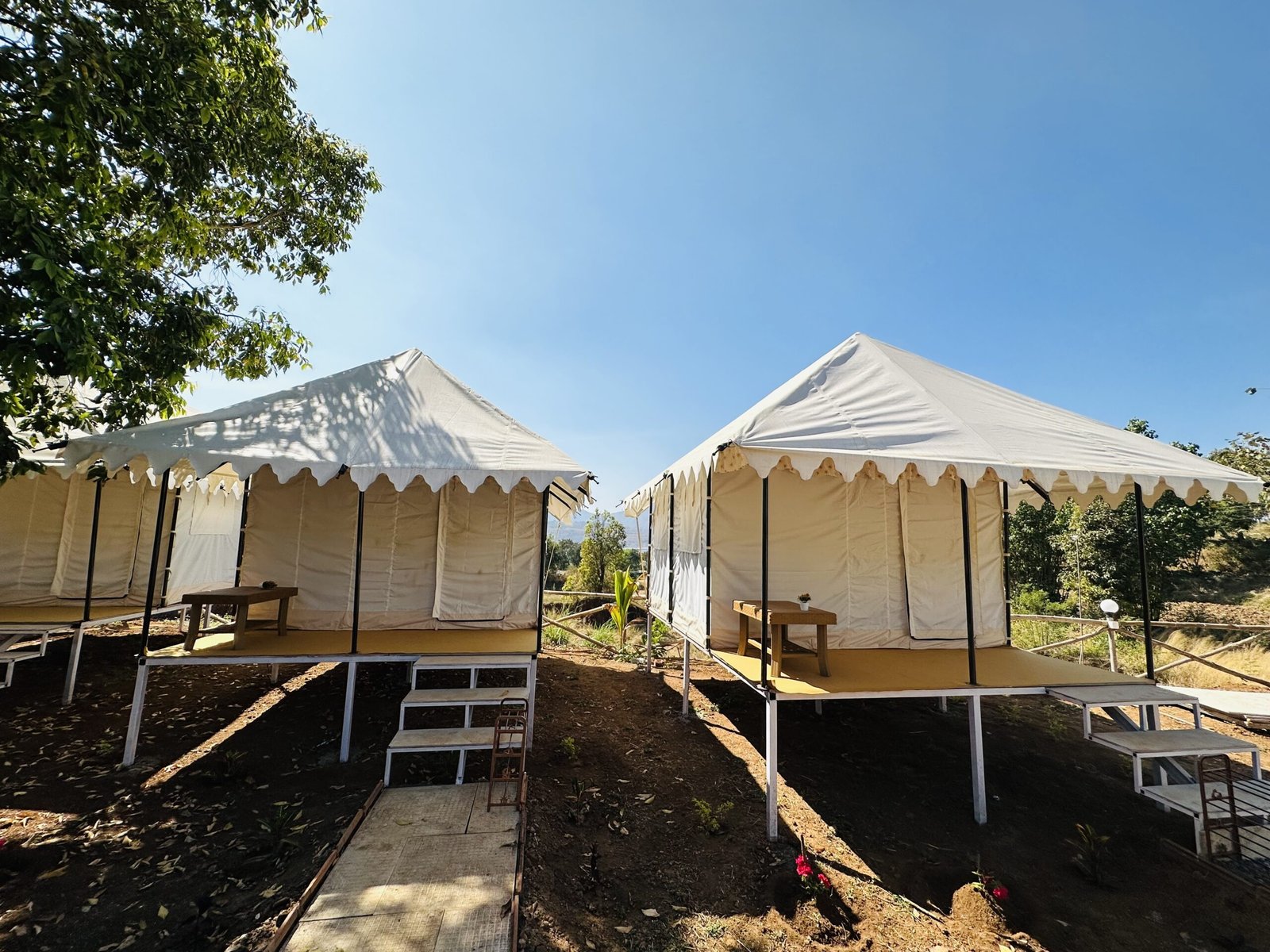 Rajasthani Premium Tent