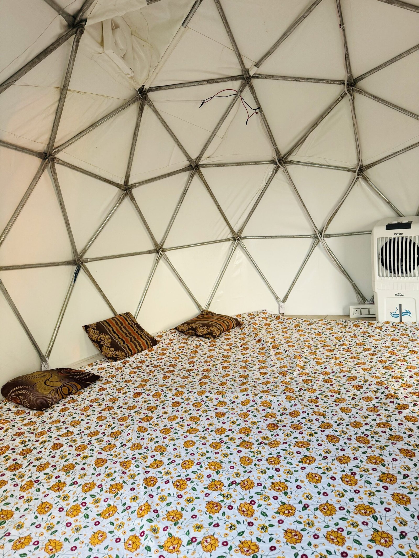 382edb0c-d193-43df-add5-cdd2eb9dca12