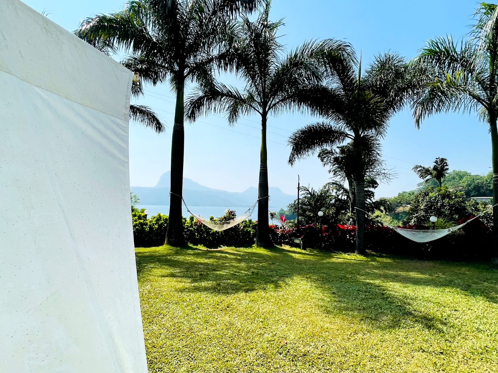 9087c2a6-94f3-4a0c-8170-bec696986a34